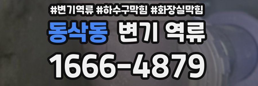 동삭동 변기 역류