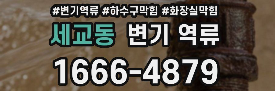 세교동 변기 역류