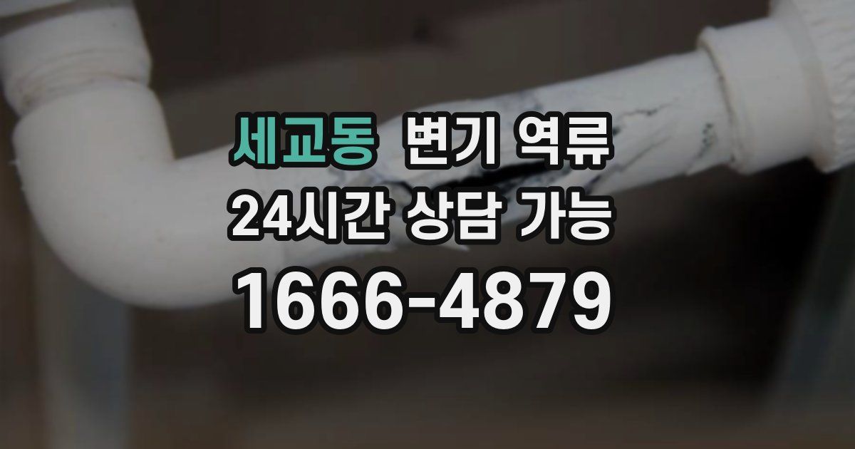 세교동 변기 역류