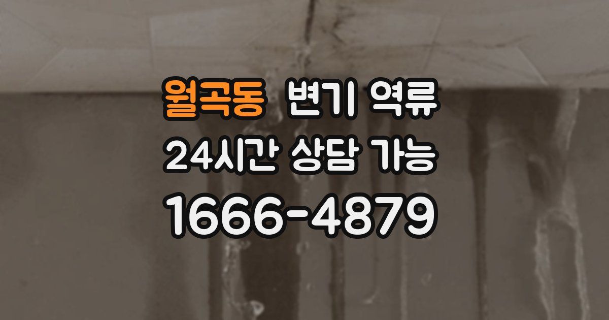 월곡동 변기 역류