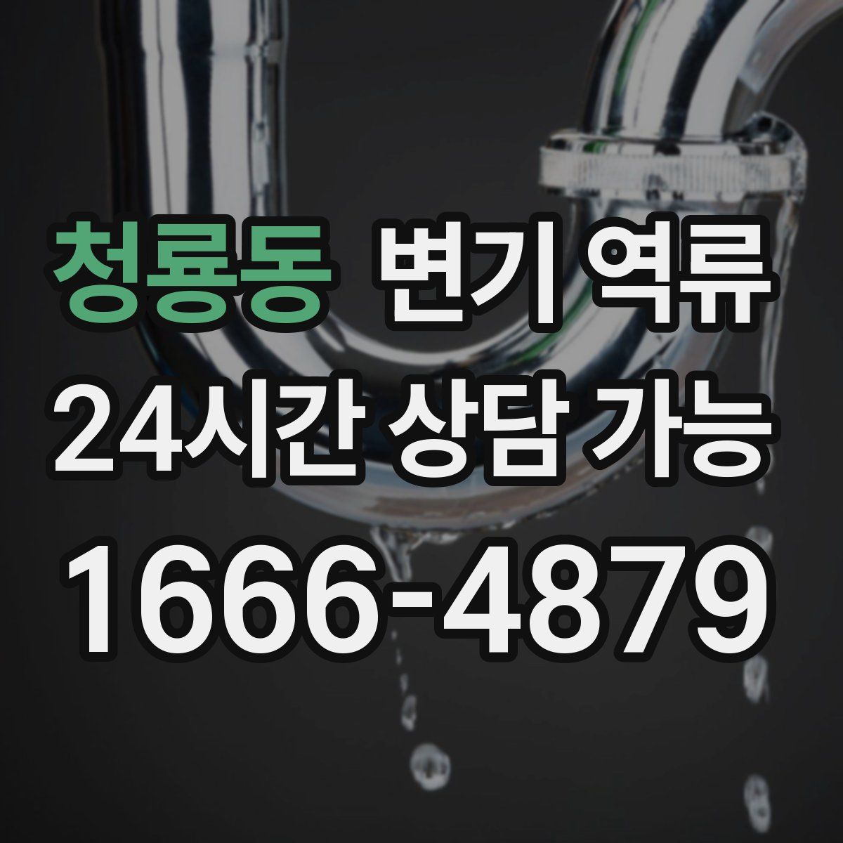 청룡동 변기 역류