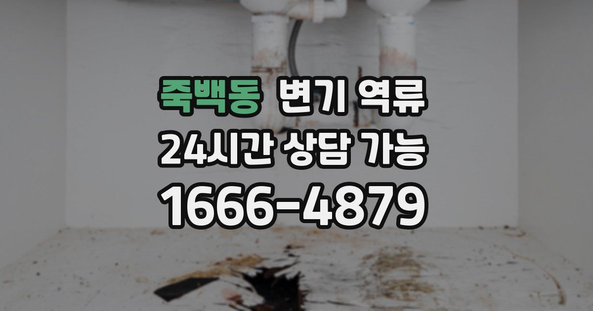 죽백동 변기 역류