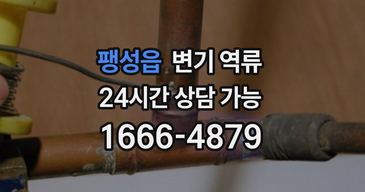 팽성읍 변기 역류