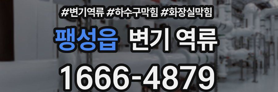 팽성읍 변기 역류