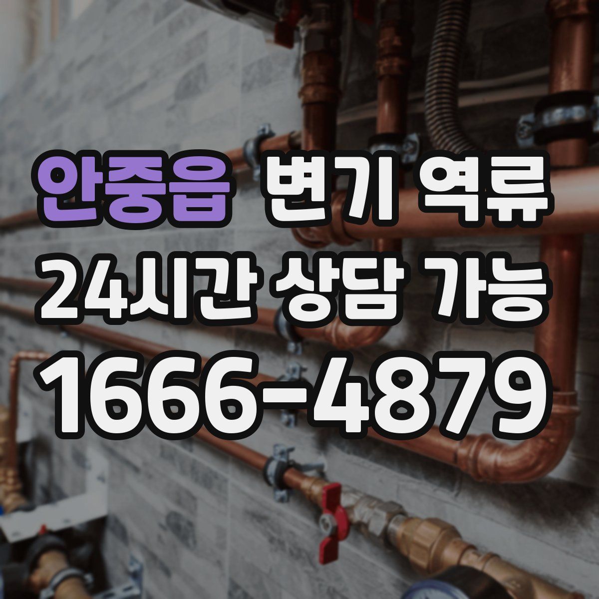 안중읍 변기 역류