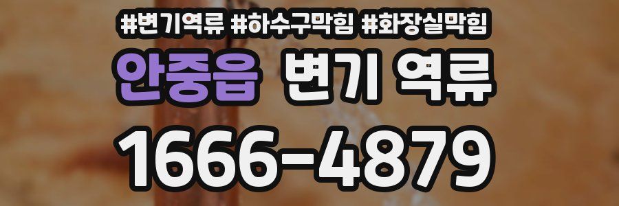 안중읍 변기 역류