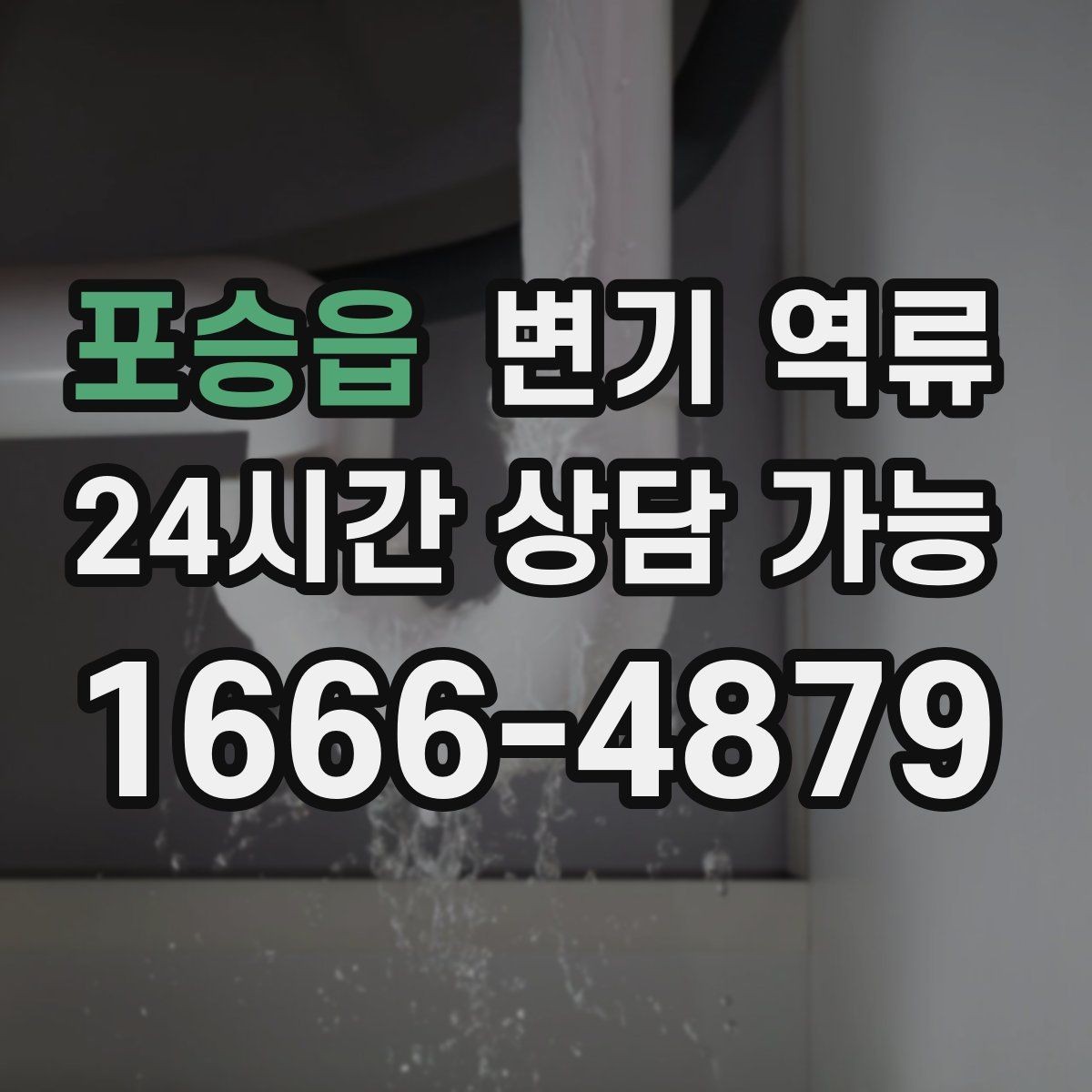 포승읍 변기 역류 바닥 건조가 늦어지면 곰팡이가 생기는 이유