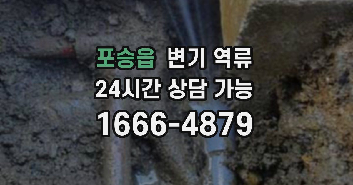 포승읍 변기 역류