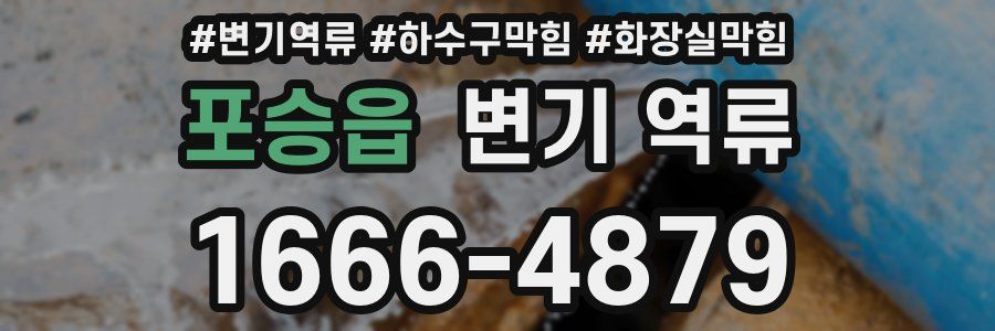 포승읍 변기 역류