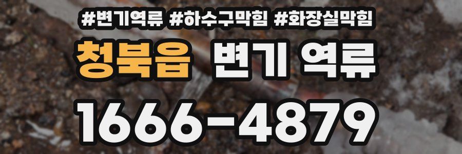 청북읍 변기 역류