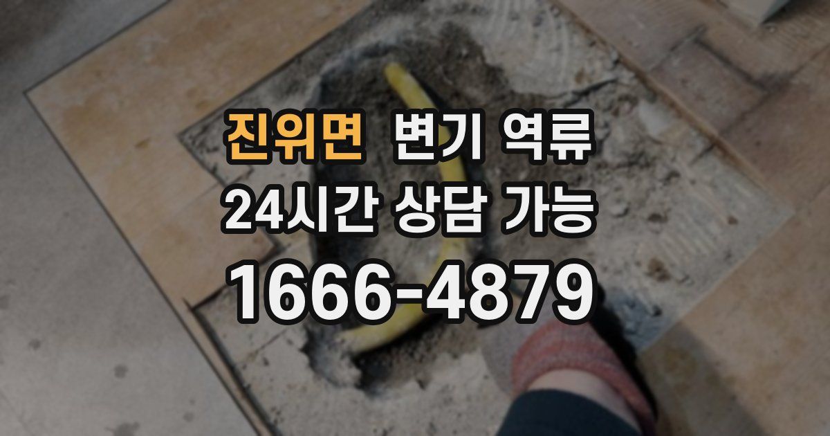 진위면 변기 역류