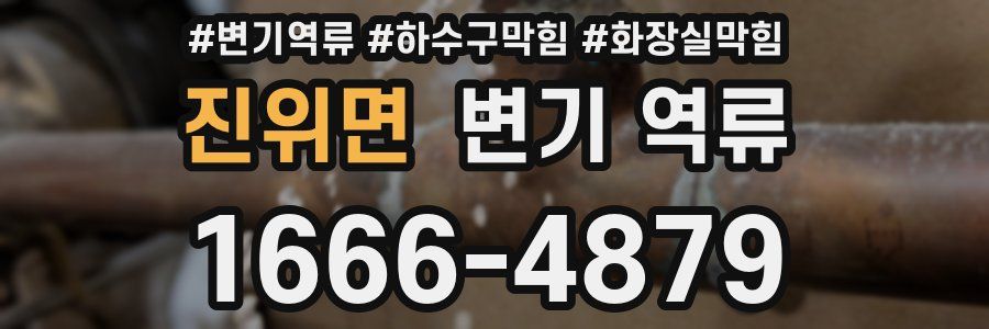 진위면 변기 역류