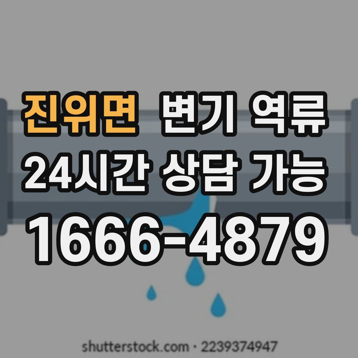 진위면 변기 역류