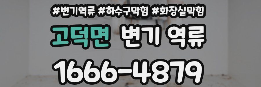 고덕면 변기 역류