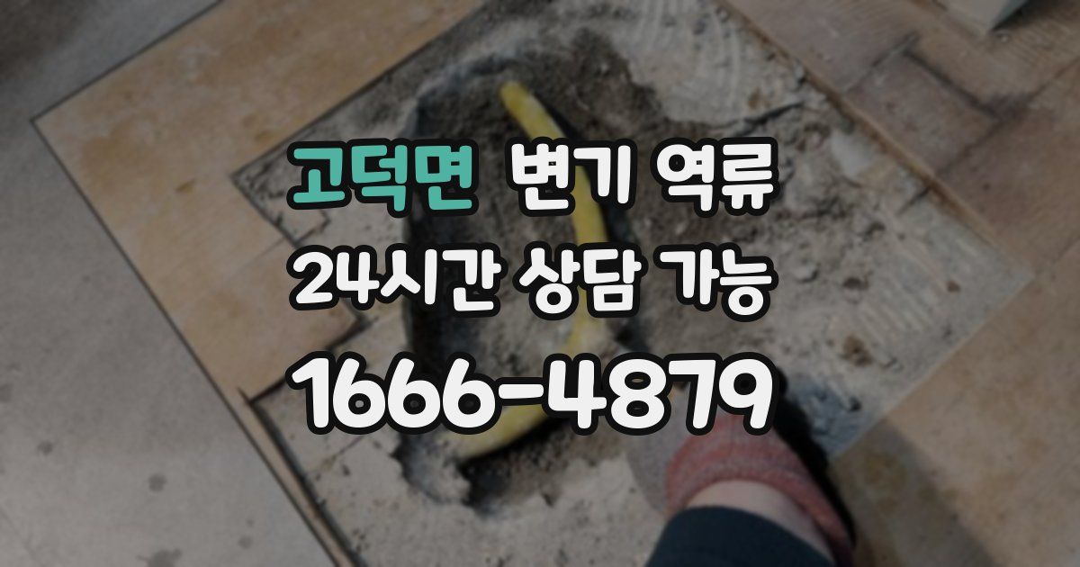 고덕면 변기 역류