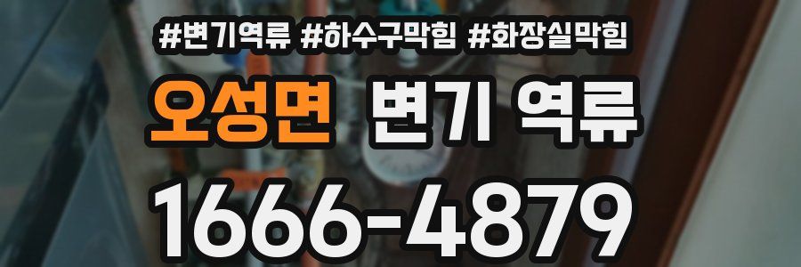 오성면 변기 역류