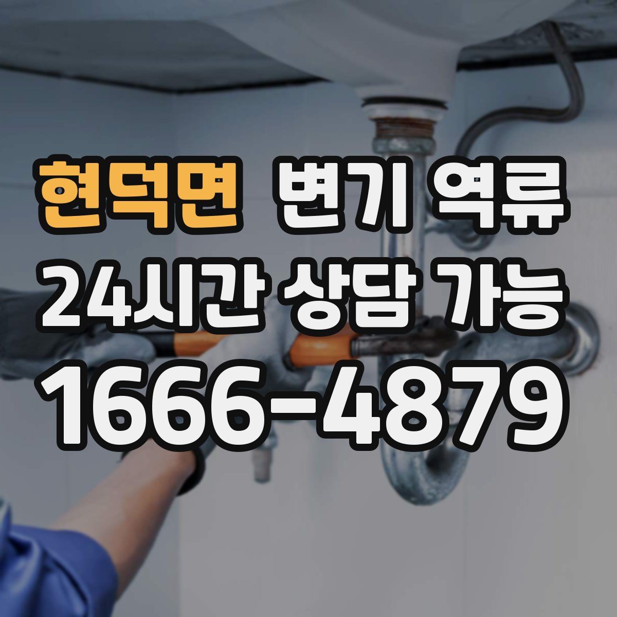 현덕면 변기 역류