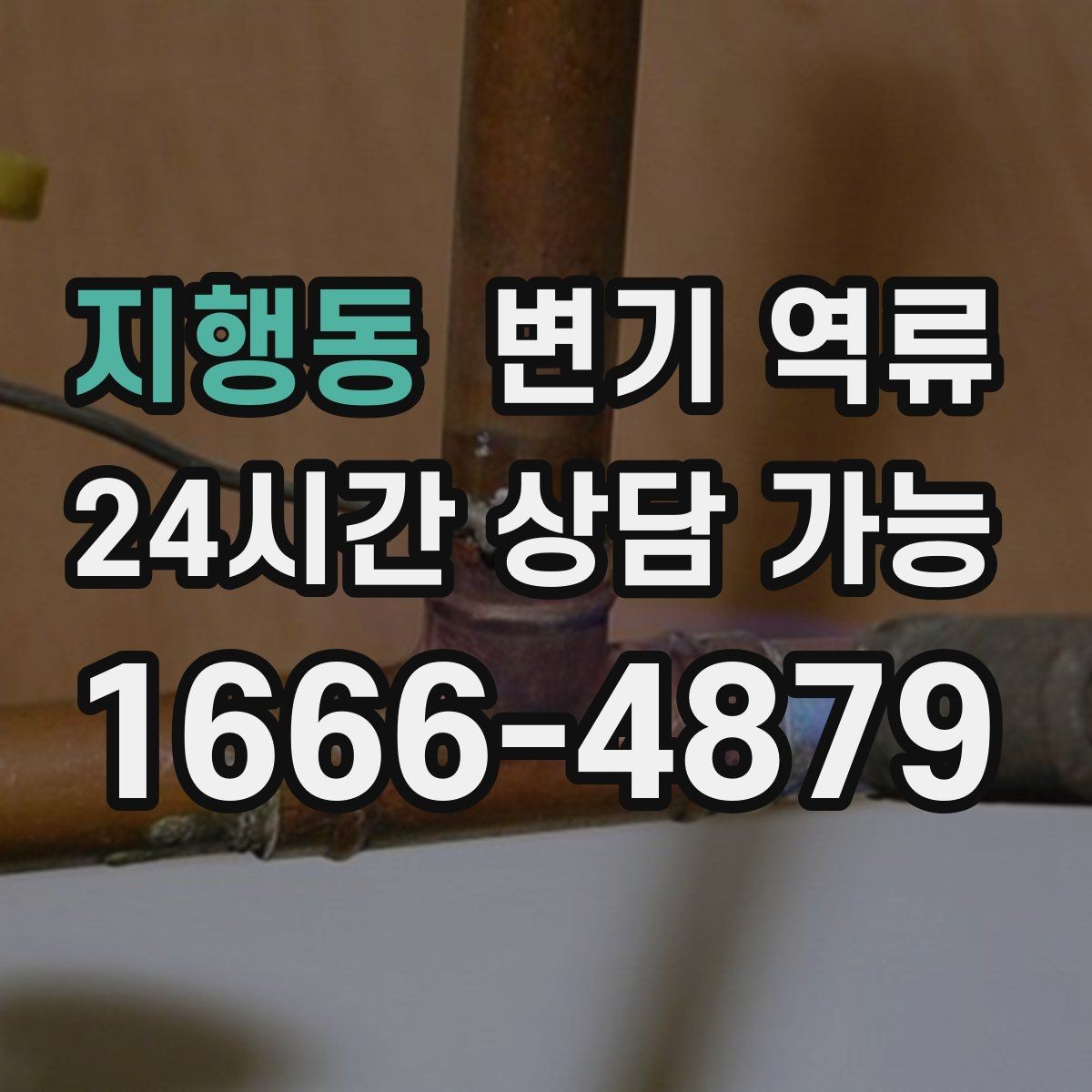 지행동 변기 역류 물 내리면 세면대 물이 출렁거리는 경우
