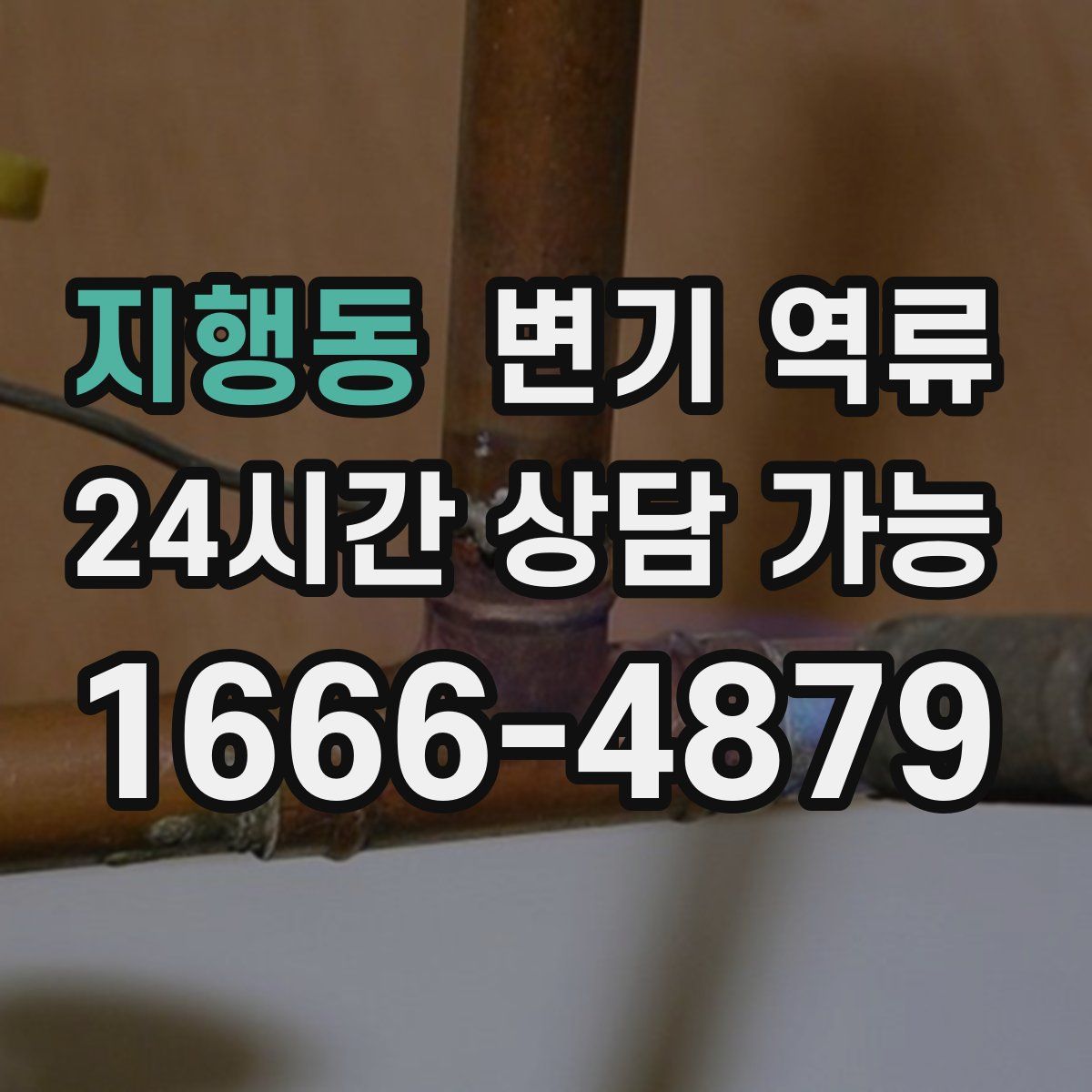 지행동 변기 역류