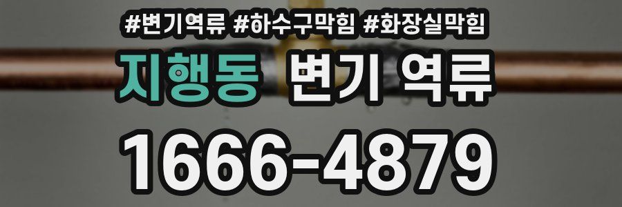 지행동 변기 역류