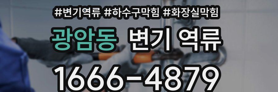 광암동 변기 역류