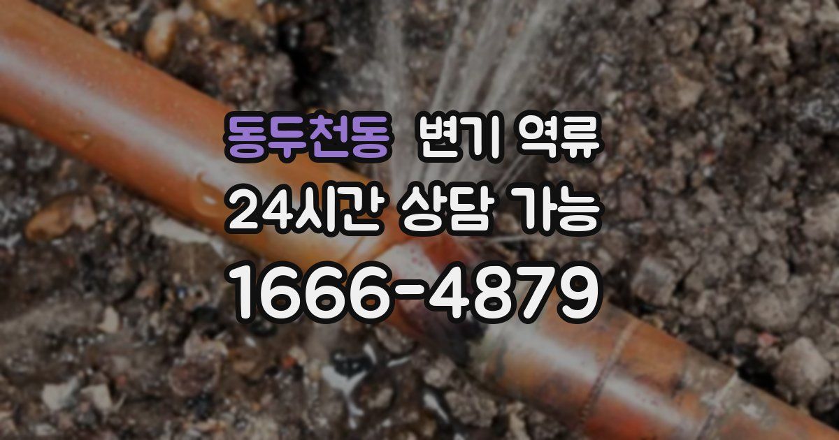 동두천동 변기 역류