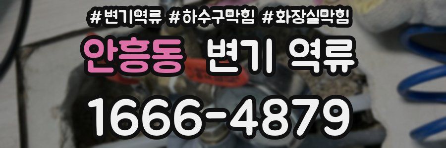 안흥동 변기 역류