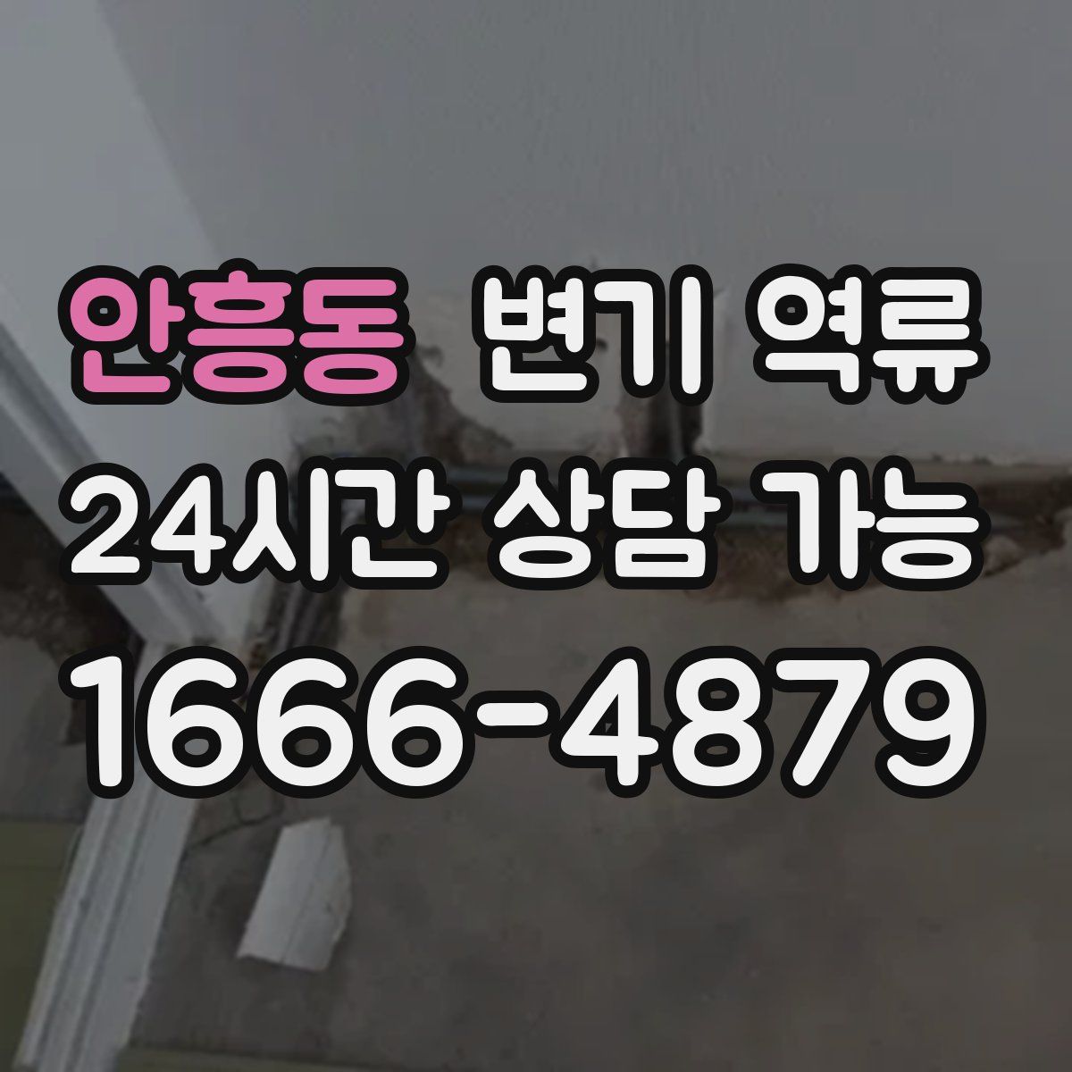 안흥동 변기 역류