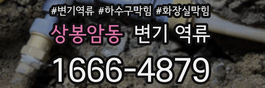 상봉암동 변기 역류