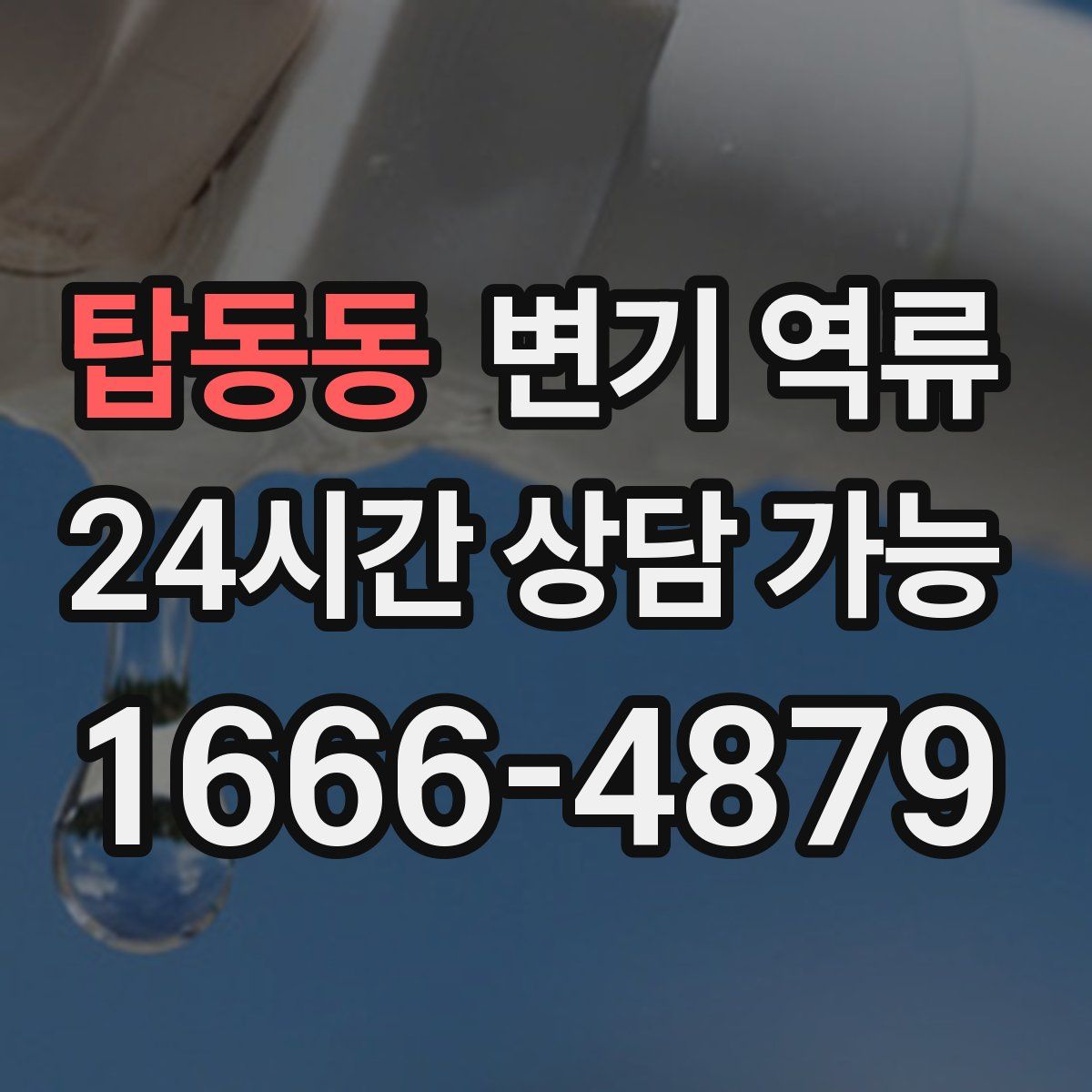 탑동동 변기 역류