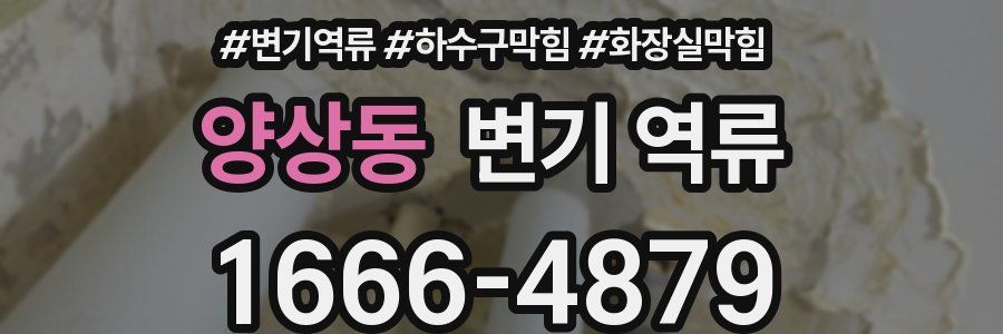 양상동 변기 역류