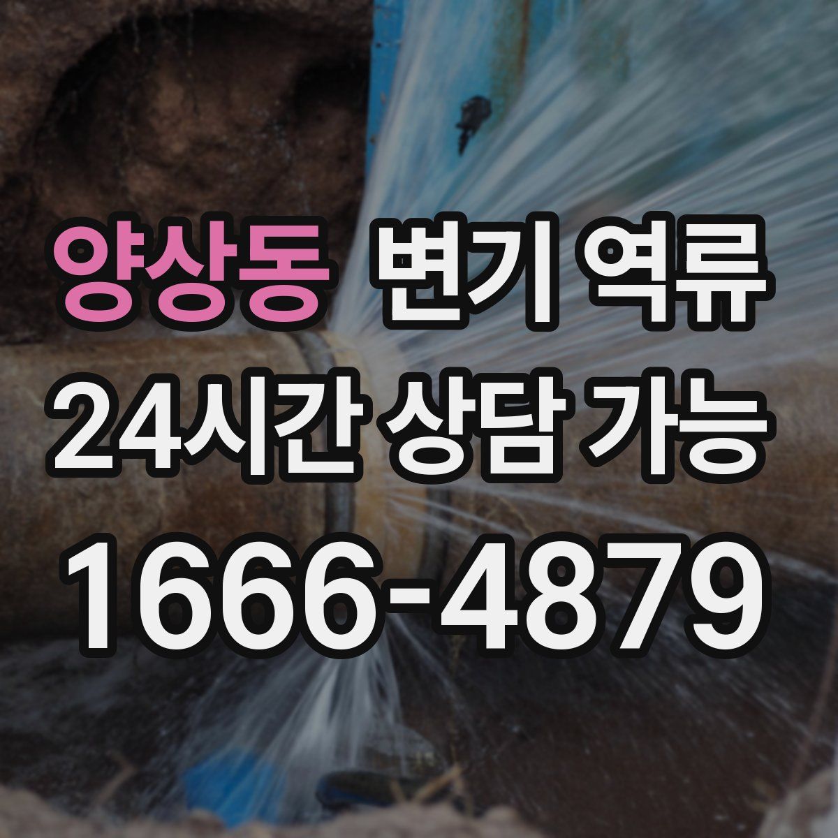 양상동 변기 역류