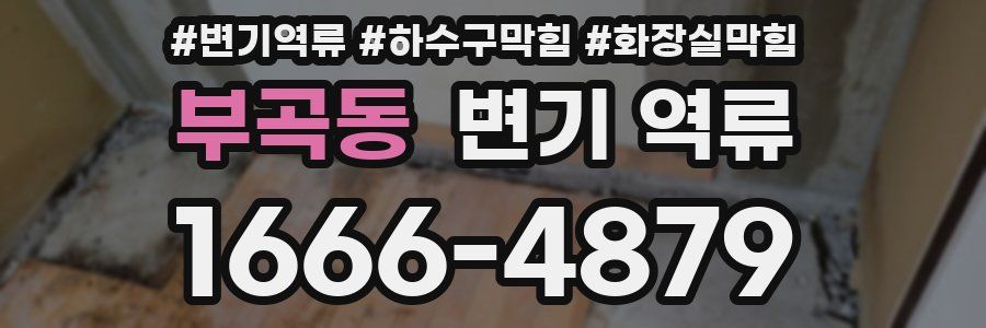 부곡동 변기 역류