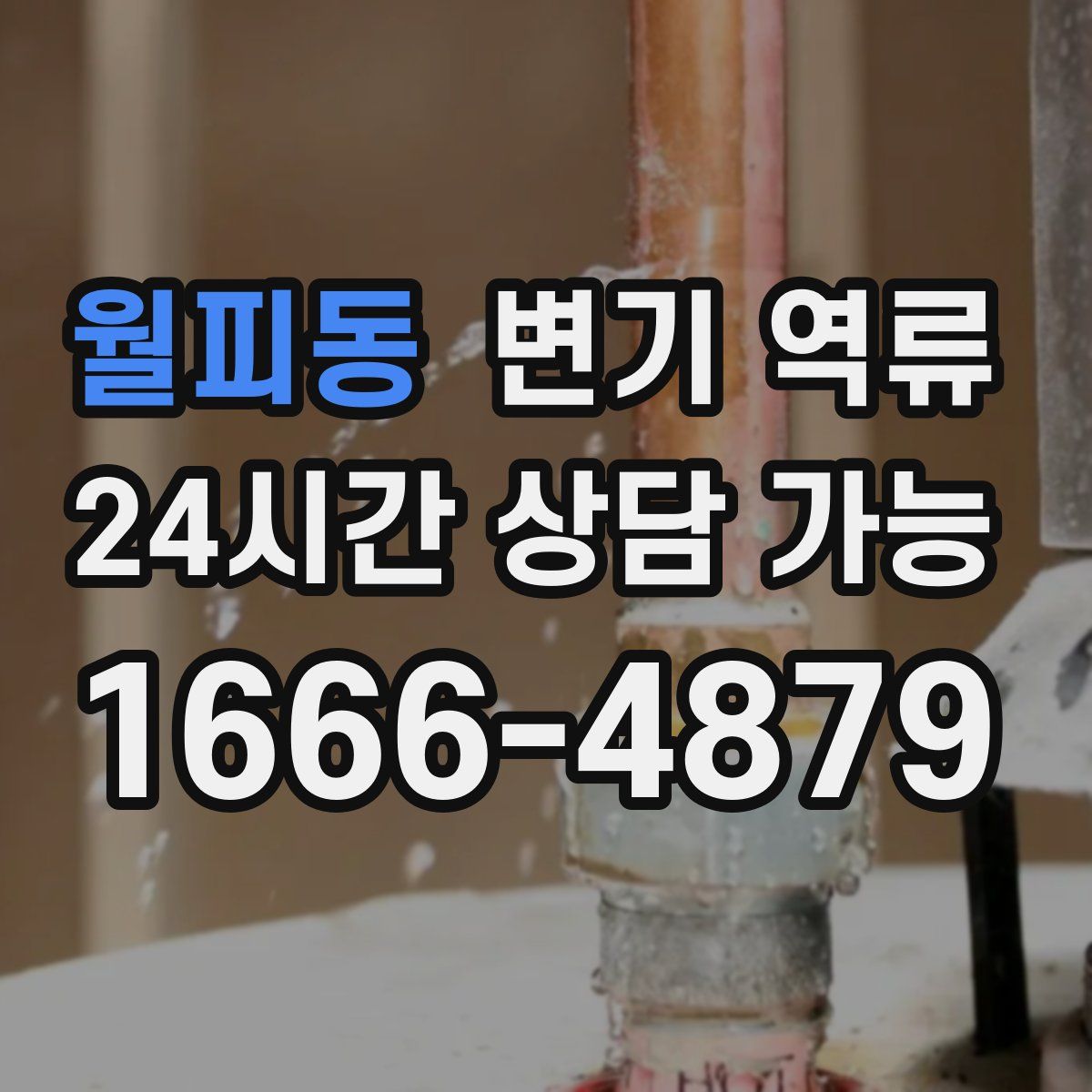 월피동 변기 역류