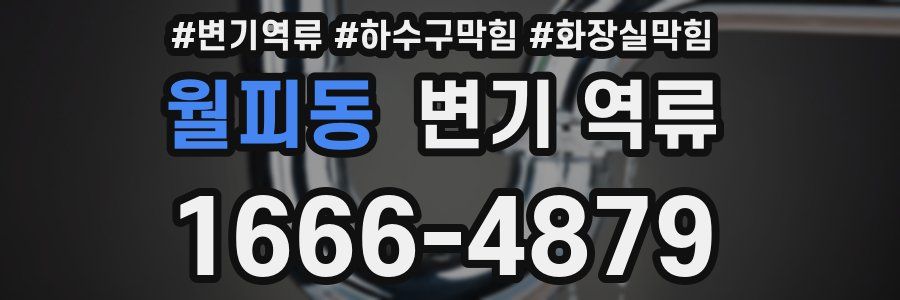 월피동 변기 역류