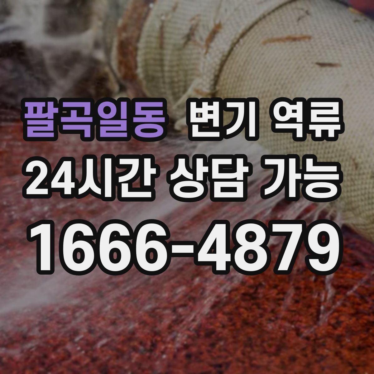 팔곡일동 변기 역류