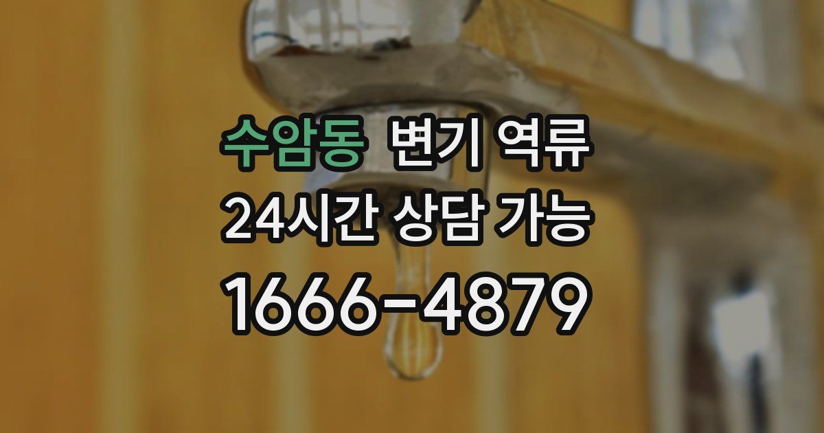 수암동 변기 역류