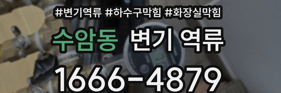 수암동 변기 역류