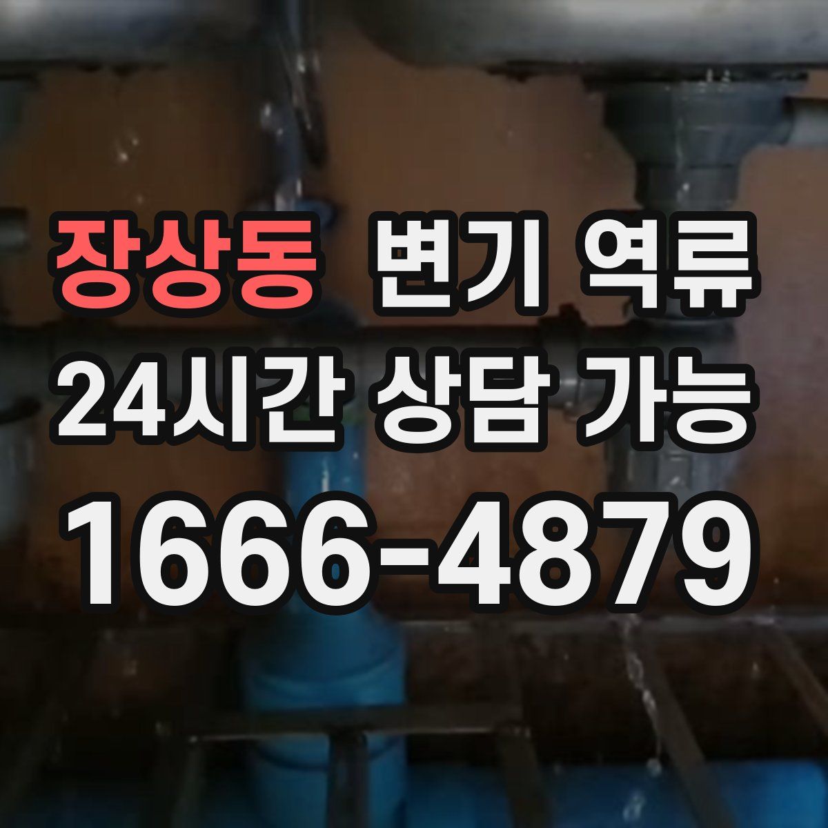 장상동 변기 역류