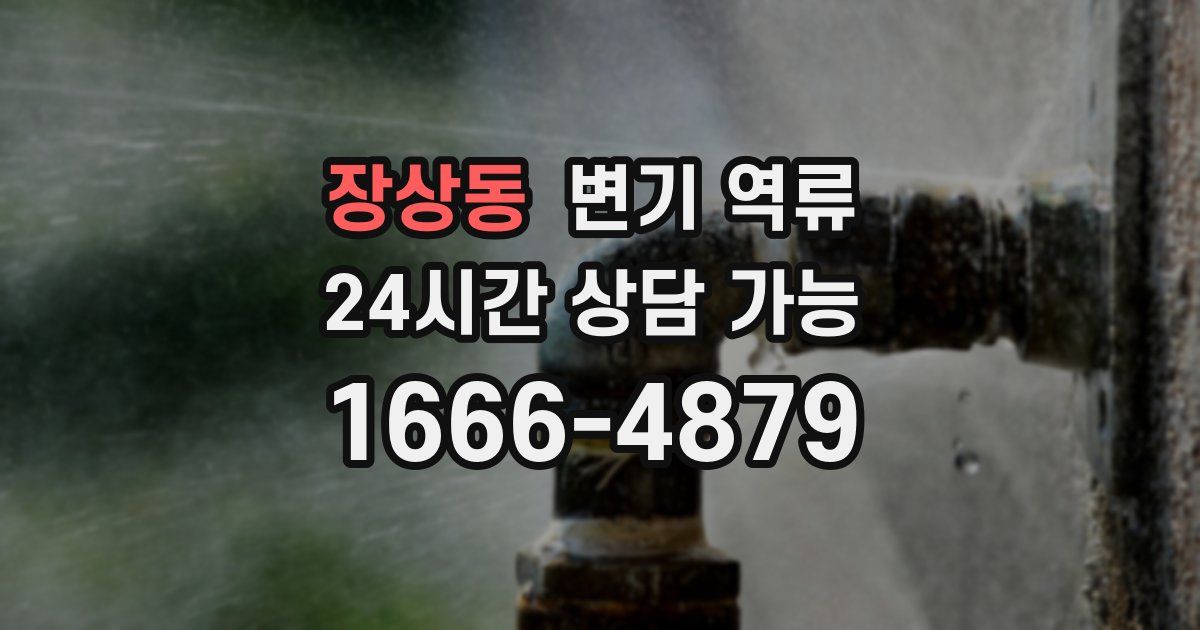 장상동 변기 역류