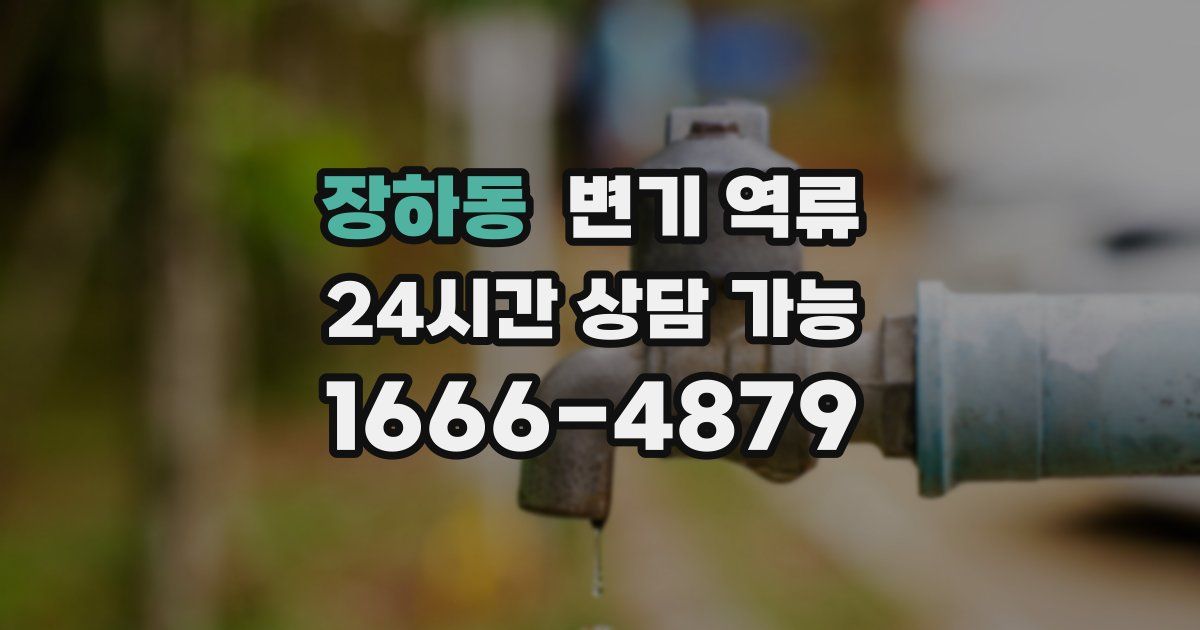 장하동 변기 역류