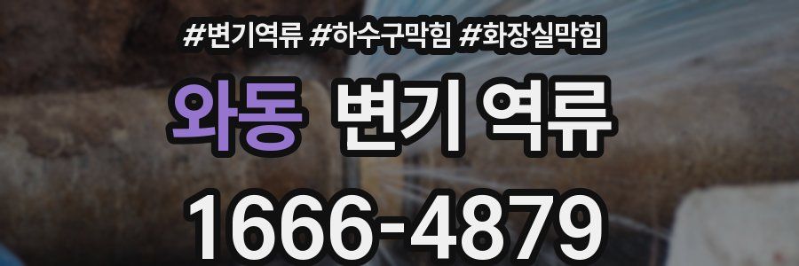 와동 변기 역류