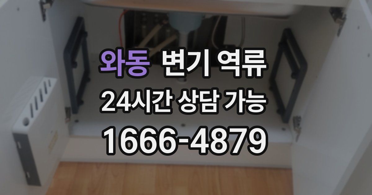 와동 변기 역류