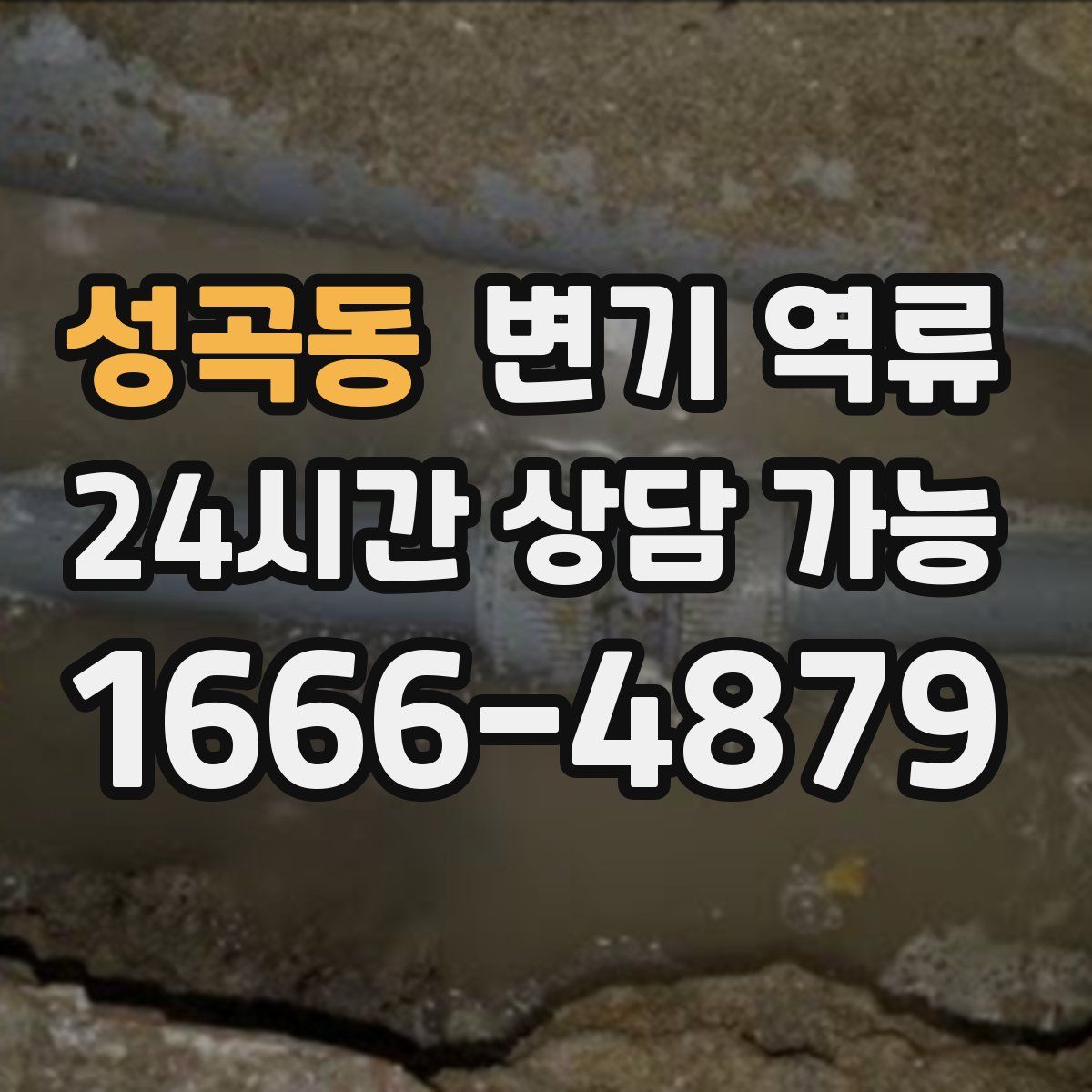 성곡동 변기 역류