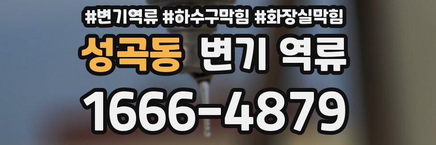 성곡동 변기 역류