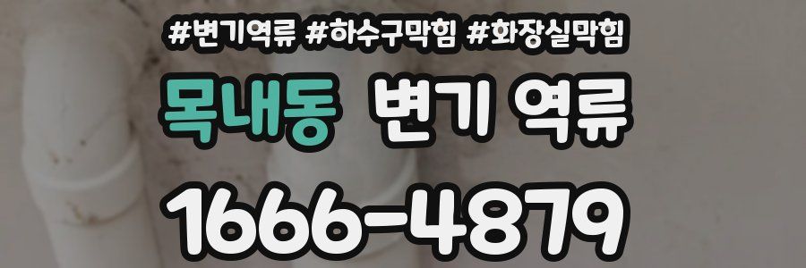 목내동 변기 역류