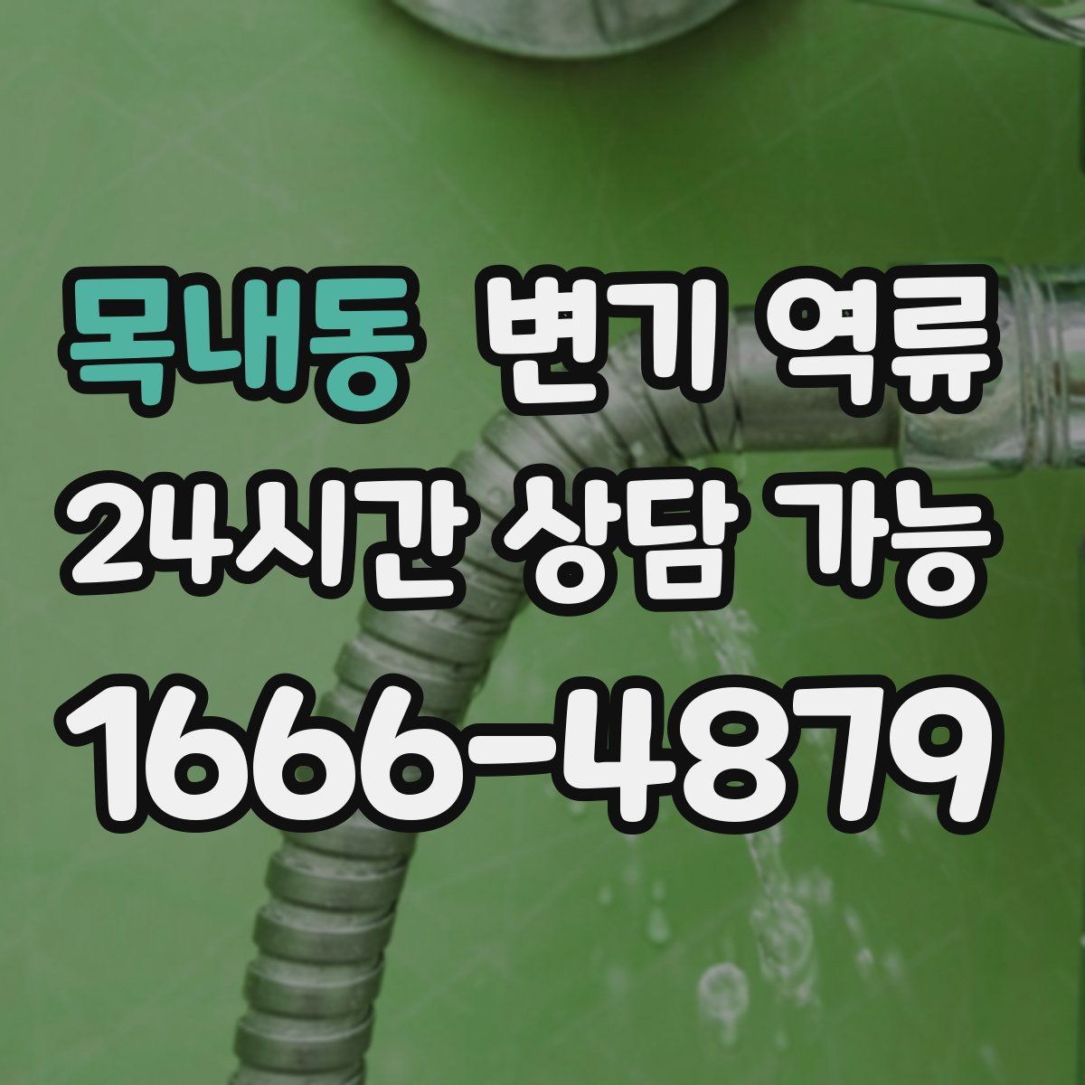 목내동 변기 역류