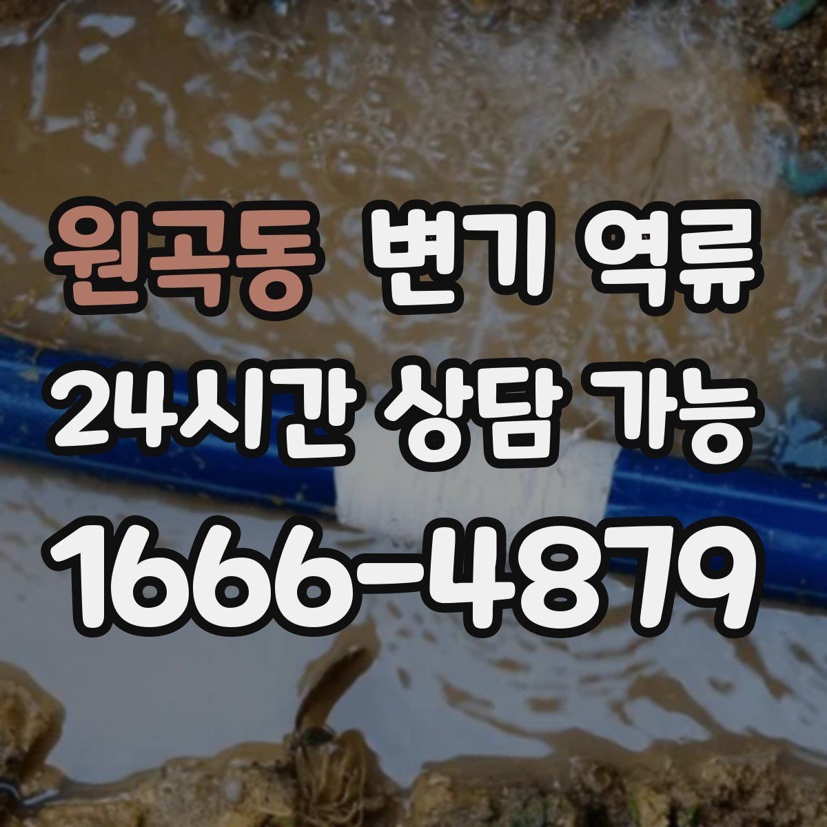 원곡동 변기 역류 어린이·반려동물 접근을 막아야 하는 이유