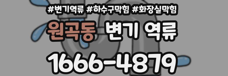 원곡동 변기 역류