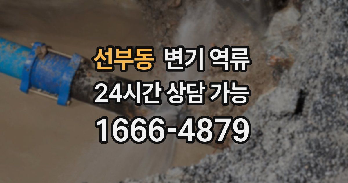 선부동 변기 역류